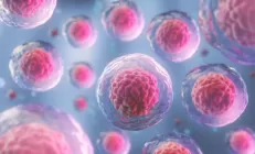 Главный онколог Минздрава назвал самые распространённые виды рака в России