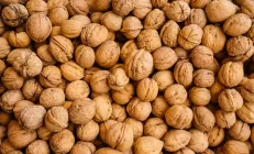 Грецкие орехи помогают восстановить целостность слизистой оболочки кишечника