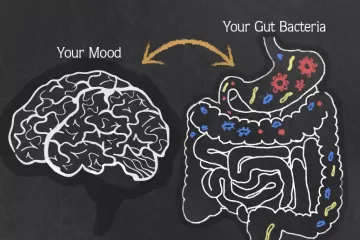 Кишечная микрофлора: как она контролирует ваше здоровье?