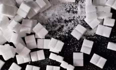 Кишечник защищает печень от «фруктозного ожирения»