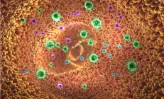 Бактерии там, где их быть не должно. Что такое синдром избыточного бактериального роста?