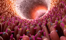 Здоровый микробиом кишечника повышает эффективность лечения рака