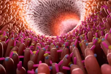 Здоровый микробиом кишечника повышает эффективность лечения рака