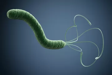 Helicobacter pylori: как убить её быстрее?
