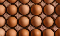 Питание, богатое цистеином, помогает восстанавливать кишечник