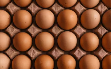 Питание, богатое цистеином, помогает восстанавливать кишечник