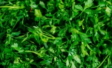 Диетолог: Укроп и петрушка могут стать причиной гепатита А