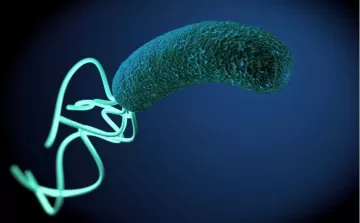 Гастроэнтеролог объяснила, нужно ли лечить хеликобактер