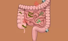 Врач объяснила, почему профилактические «чистки» кишечника и печени опасны