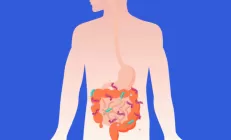 Учёные: Вирусная инфекция сохраняется в кишечнике пациентов после COVID-19