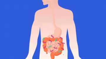 Учёные: Вирусная инфекция сохраняется в кишечнике пациентов после COVID-19