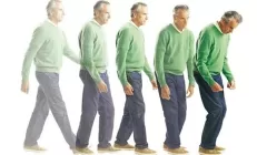 Болезнь Паркинсона зарождается в кишечнике. Учёные нашли доказательства