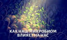 Микробиом кишечника: триллионы гостей или хозяев внутри нас?
