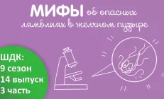 Лямблии безопасны для желчного пузыря. Доктор Комаровский развеивает популярный миф