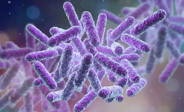 Учёные назвали пробиотики, которые помогают при депрессии