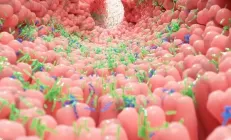 Учёные: COVID-19 приводит к «дырявому кишечнику»