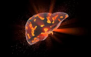 Бытовые химические вещества вызывают болезни печени у детей — ученые