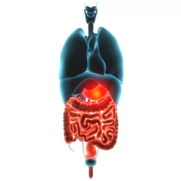 Мальабсорбция