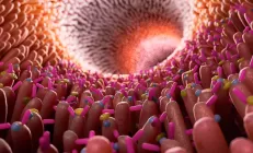 Шведские учёные выяснили, как кишечник отражает атаки бактерий