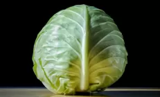 ТОП-5 народных методов лечения ЖКТ. Среди них есть совершенно фантастические