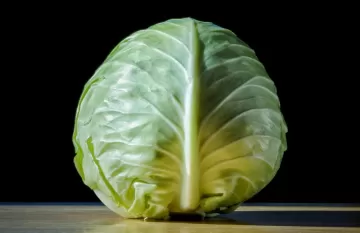 ТОП-5 народных методов лечения ЖКТ. Среди них есть совершенно фантастические