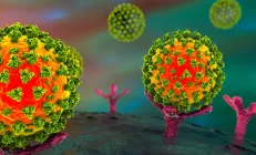 COVID-19 приводит к повышенной проницаемости кишечника, а она – к системному воспалению