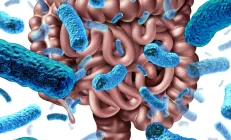 Кишечная микрофлора защищает от вирусов. Как её улучшить?