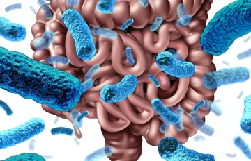 Кишечная микрофлора защищает от вирусов. Как её улучшить?