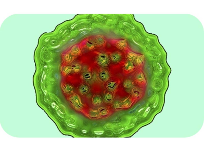 Хронически вирусным гепатитом