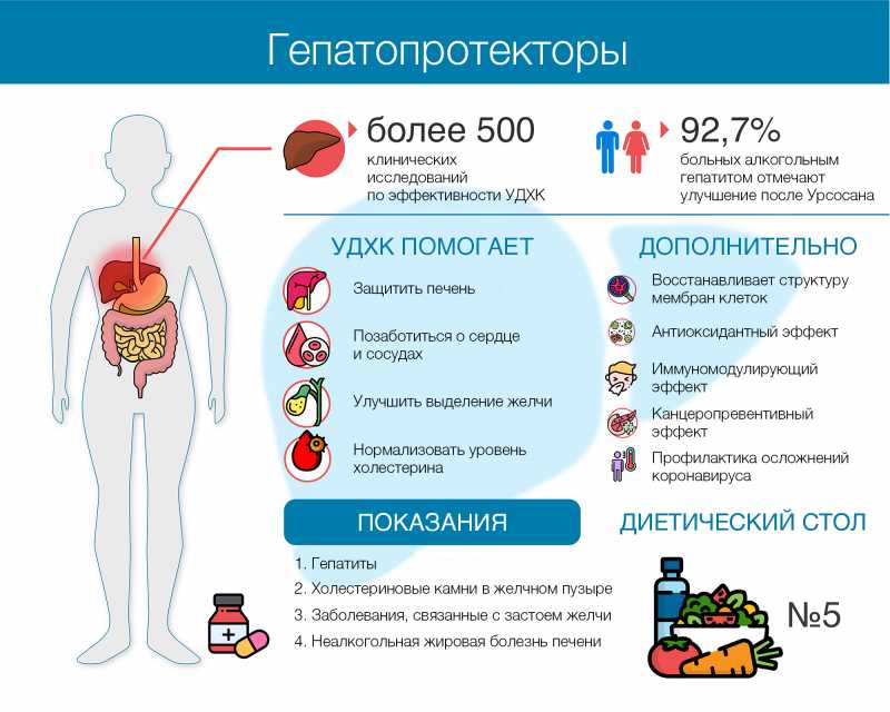 Какие гепатопротекторы действительно защищают печень. Эффективность ...