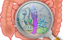 Фруктоза может активировать вирусы в кишечной микрофлоре