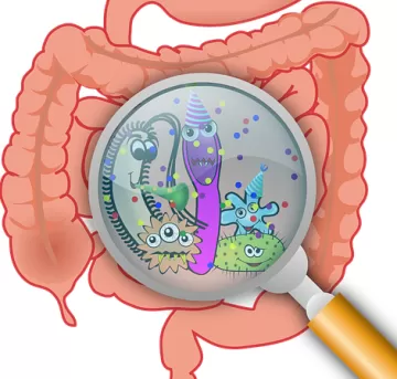 Фруктоза может активировать вирусы в кишечной микрофлоре