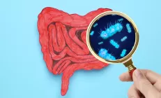 Исследование доказало, что популярный подсластитель разрушает кишечник