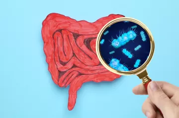 Исследование доказало, что популярный подсластитель разрушает кишечник