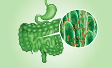 Российские учёные рассказали, как предотвратить «дырявый кишечник» при COVID-19