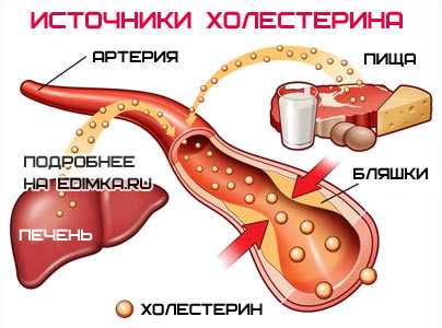 Гиполипидная диета что это. h8eklo. Гиполипидная диета что это фото. Гиполипидная диета что это-h8eklo. картинка Гиполипидная диета что это. картинка h8eklo. Вид продуктов