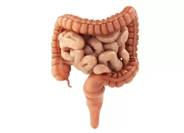 Колоноскопия. Как избежать боли?