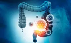 Немецкие учёные: Коронавирус превращает пищеварительную систему в резервуар воспалений