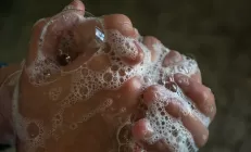 Учёные: Триклозан, содержащийся в антибактериальном мыле, ускоряет «ожирение печени»