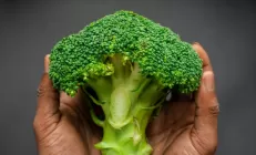 Учёные: Брокколи защищает слизистую оболочку кишечника