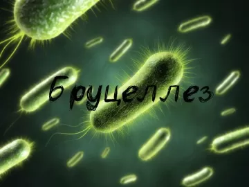 Бруцеллез