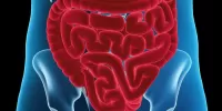 Атония кишечника: что это такое, причины возникновения, симптомы и лечение