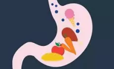 Гастроэнтеролог рассказала, что замедляет и ускоряет пищеварение