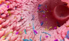 Шведские учёные выяснили, как псориаз приводит к тяжелому заболеванию кишечника