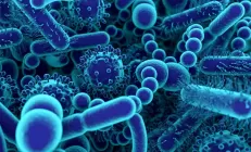 Трансплантация микробиоты помогает людям с диабетом избавиться от боли и диареи