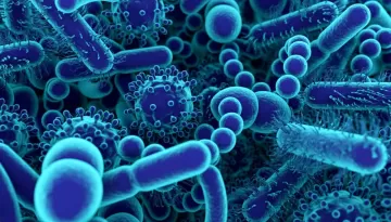 Трансплантация микробиоты помогает людям с диабетом избавиться от боли и диареи