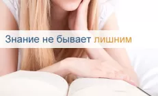 Словарь терминов