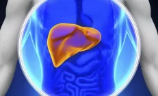 Ученые назвали пять факторов, приводящих к циррозу печени