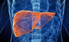 Три продукта, которые восстановят печень