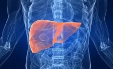 Учебно-методическое пособие «Алкогольная болезнь печени»